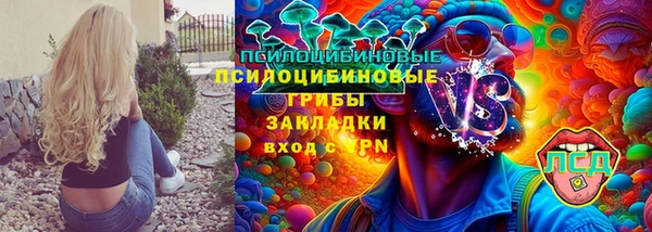 PSILOCYBIN Бугульма